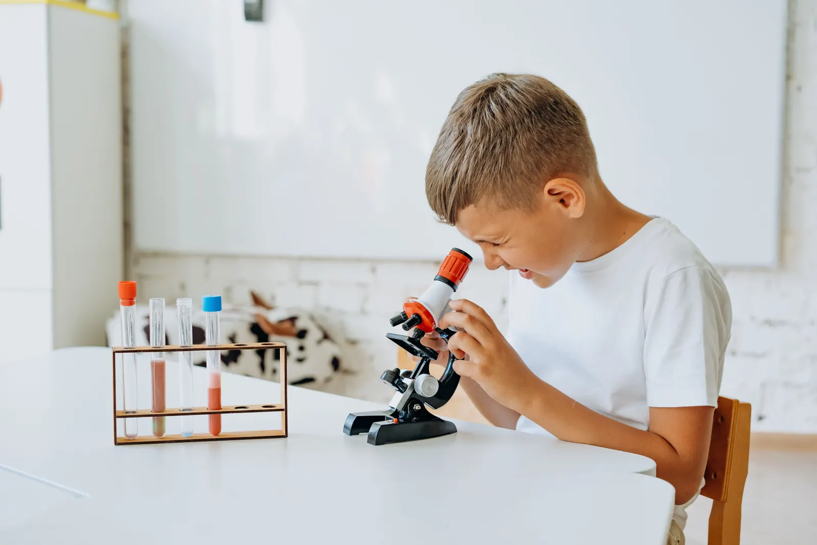 A boy looks into a small microscope beside a rack of test tubes on a white table