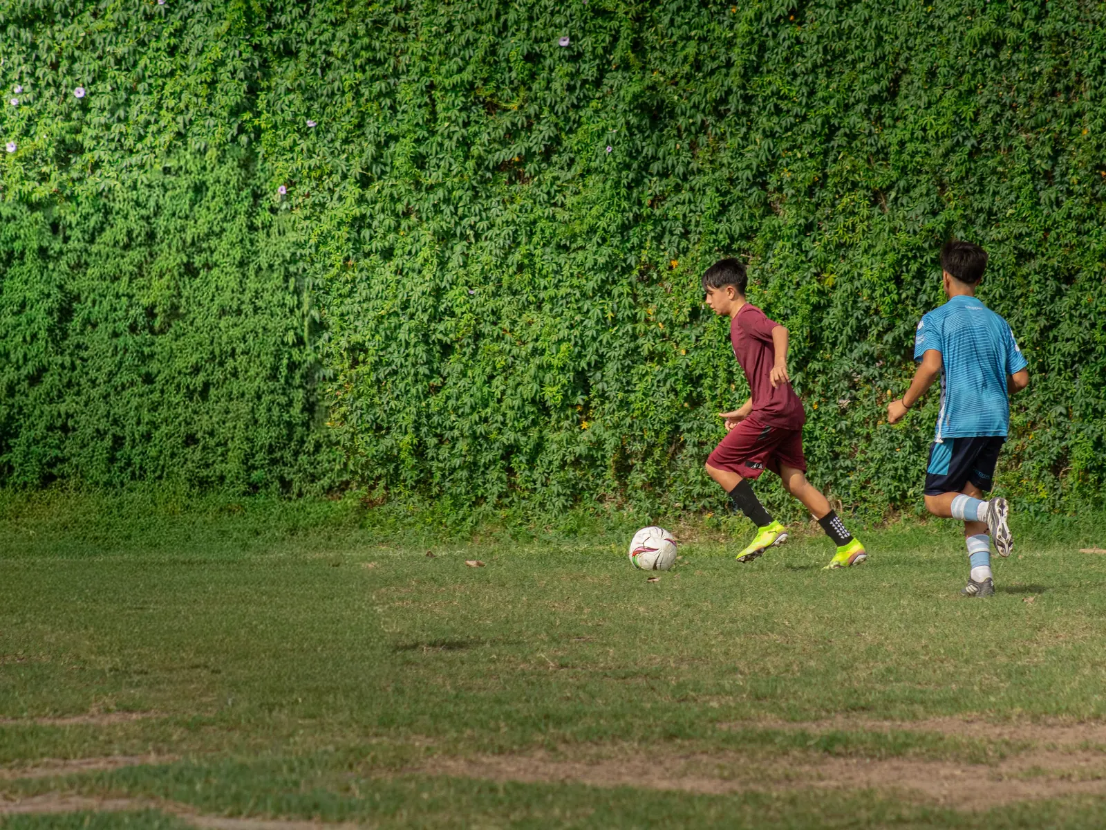 Two teenage boys chase a football across a grass pitch in front of a wall of green ivy