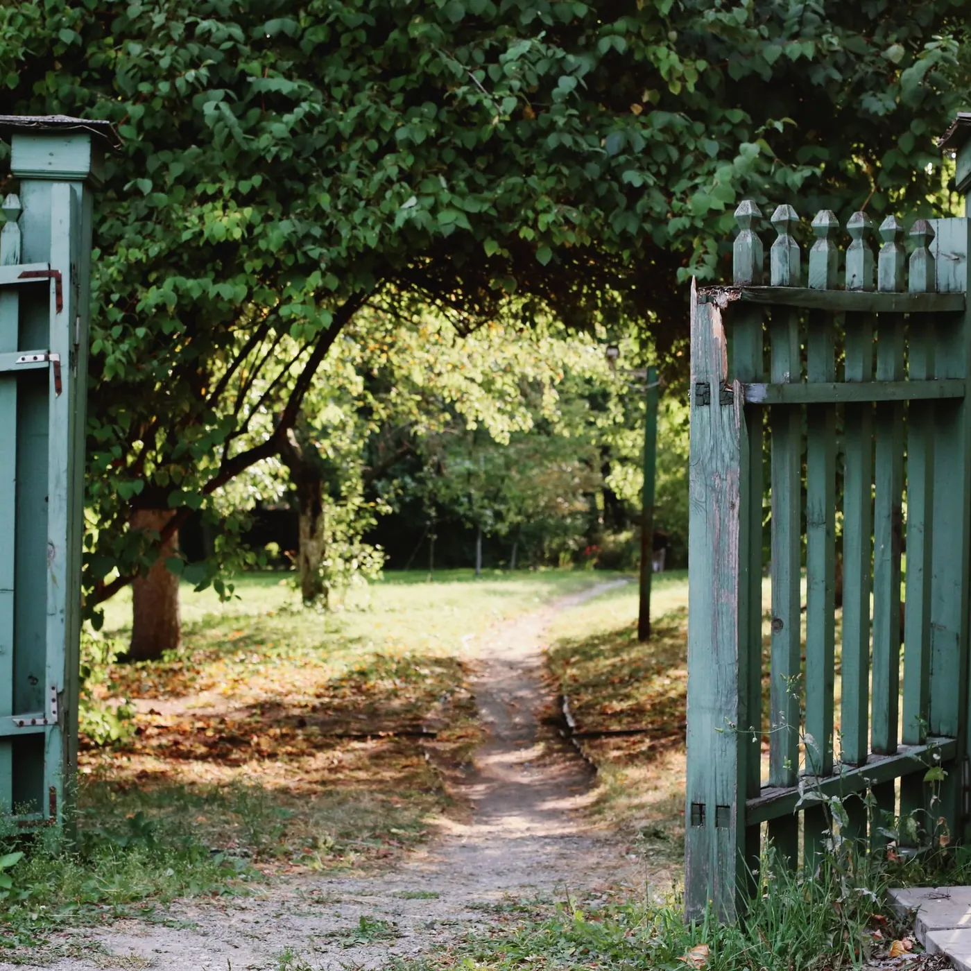 An old green picket gate stands open onto a dirt path leading into a leafy, sunlit garden under an arch of trees