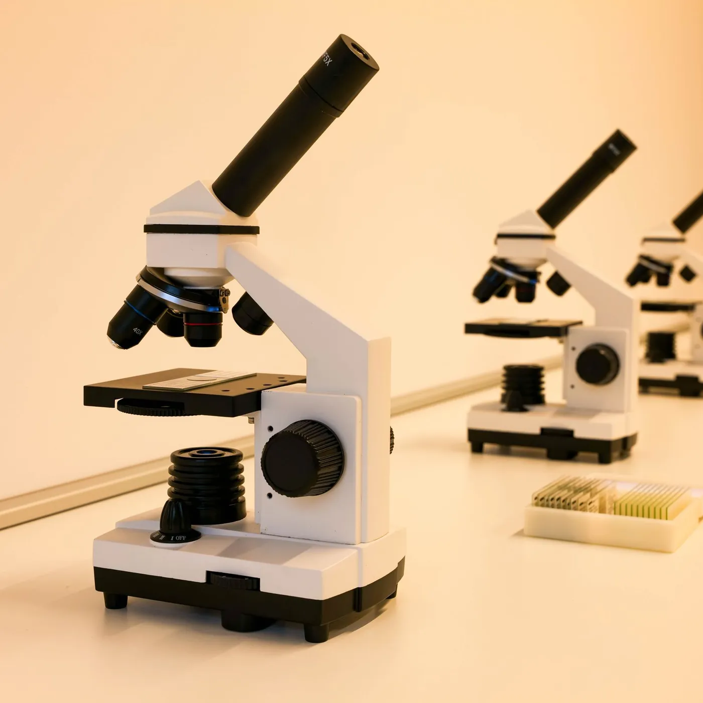 A row of white student microscopes on a lab bench with a box of prepared slides, in warm light